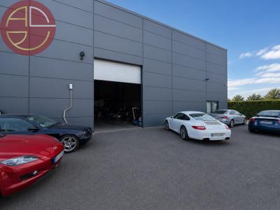 Louer Commerce 385 m2 Plaisance-du-touch