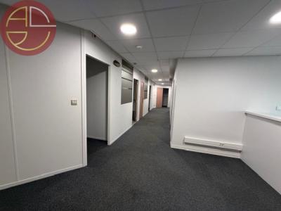 For rent Toulouse 274 m2 Haute garonne (31000) photo 0