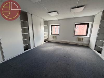 For rent Toulouse 274 m2 Haute garonne (31000) photo 3