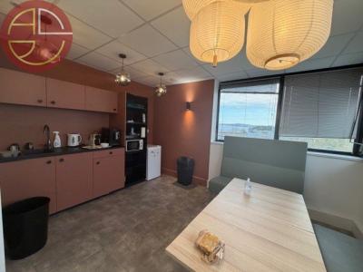 For rent Toulouse 323 m2 Haute garonne (31100) photo 3