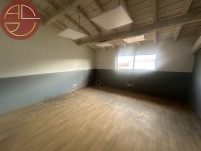 Louer Commerce Saint-lys 48012 euros