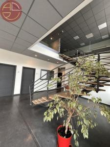 Louer Commerce Colomiers Haute garonne