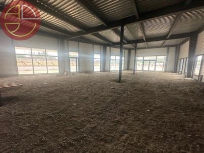 Annonce Location Local commercial Pinsaguel 31