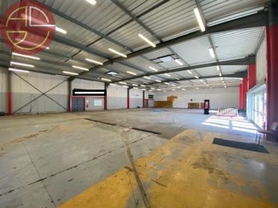 For rent Aucamville 774 m2 Haute garonne (31140) photo 1