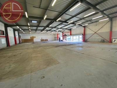 For rent Aucamville 774 m2 Haute garonne (31140) photo 3