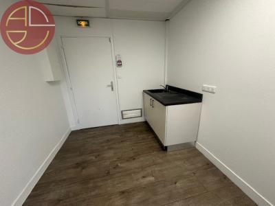 For rent Toulouse 139 m2 Haute garonne (31000) photo 2