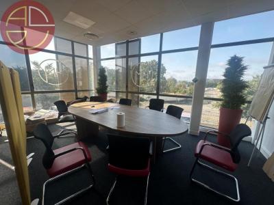 Annonce Location Bureau Colomiers 31