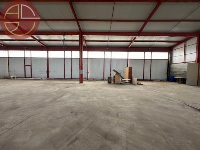 Acheter Commerce 1170 m2 Toulouse