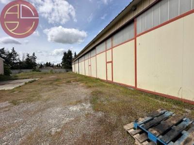 Acheter Commerce Toulouse 1260000 euros
