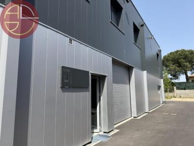 Annonce Location Commerce Cugnaux 31