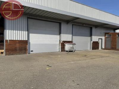 For rent Beaupuy 3 rooms 770 m2 Haute garonne (31850) photo 0