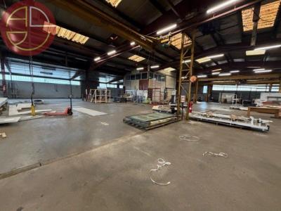 Annonce Location Commerce Tournefeuille 31