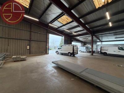 Louer Commerce 2203 m2 Tournefeuille