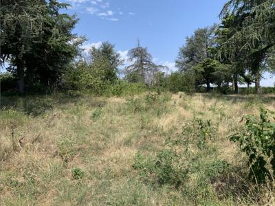 For sale Saint-marcel-les-valence 533 m2 Drome (26320) photo 0
