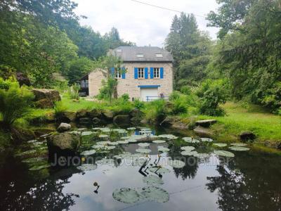 Annonce Location 4 pi�ces Maison Egletons 19