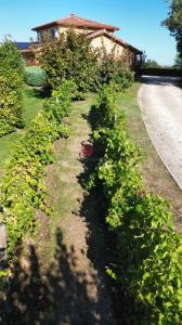 Acheter Maison Mirande 449000 euros