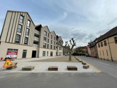 For sale Obernai 126 m2 Bas rhin (67210) photo 0
