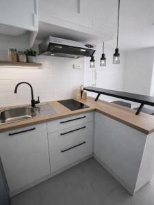 For rent Nantes 1 room 20 m2 Loire atlantique (44300) photo 1