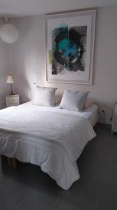 Louer Appartement Montpellier Herault