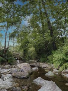 Acheter Terrain 10564 m2 Lacaze