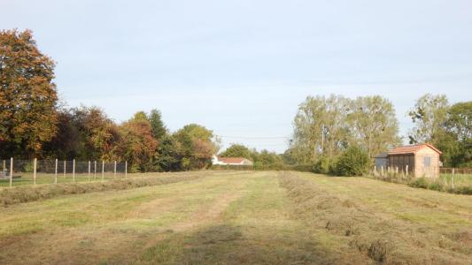 Annonce Vente Terrain Franleu 80