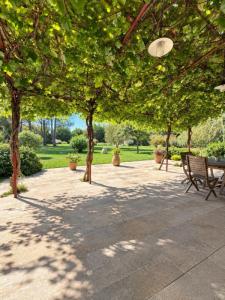 Acheter Maison 270 m2 Chateaurenard