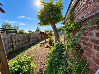 For sale Moncheaux 1 room 653 m2 Nord (59283) photo 4