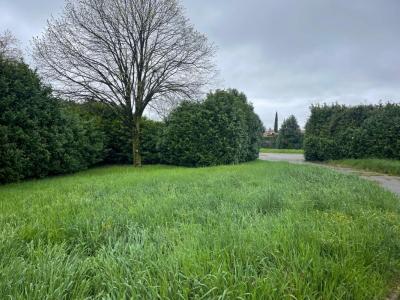 Annonce Vente 4 pi�ces Maison Loriol-sur-drome 26