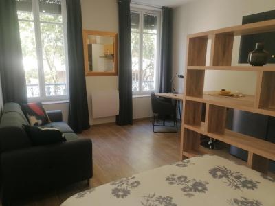 For rent Villeurbanne 1 room 24 m2 Rhone (69100) photo 4