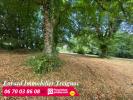 Vente Terrain Treignac  3806 m2