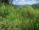 For sale Land Vauclin  568 m2