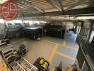 For rent Commerce Montrabe  1100 m2