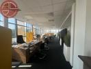 For rent Box office Colomiers  146 m2