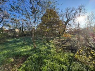 Acheter Maison 420 m2 Saint-loubes