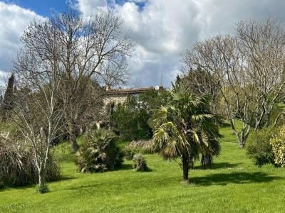 Annonce Vente Prestige Plavilla 11