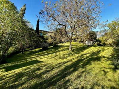 Acheter Prestige Plavilla Aude
