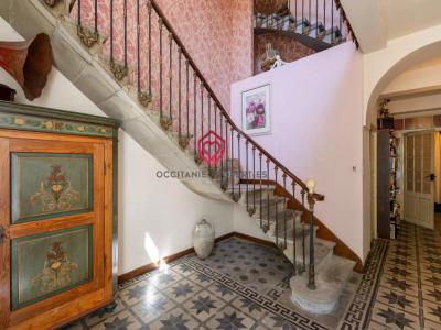 For sale Rieux-minervois 11 rooms 263 m2 Aude (11160) photo 1