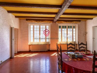 For sale Rieux-minervois 11 rooms 263 m2 Aude (11160) photo 4