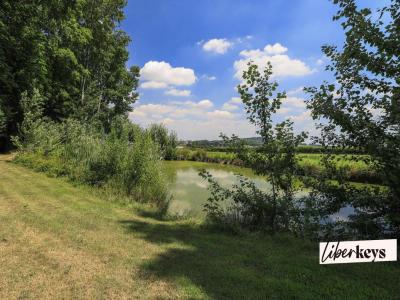 For sale Zuytpeene 8 rooms 471 m2 Nord (59670) photo 3