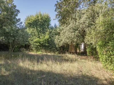 For sale Saint-marc-jaumegarde 750 m2 Bouches du Rhone (13100) photo 2