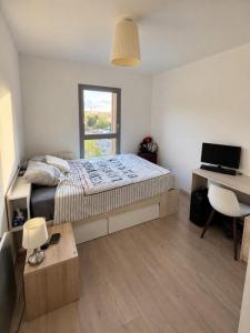 Annonce Location Appartement Toulouse 31