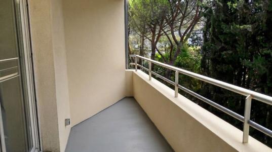 For rent FACULT� PAUL VAL�RY 2 rooms 39 m2 Herault (34000) photo 3