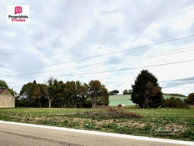 Annonce Vente Terrain Fournaudin 89