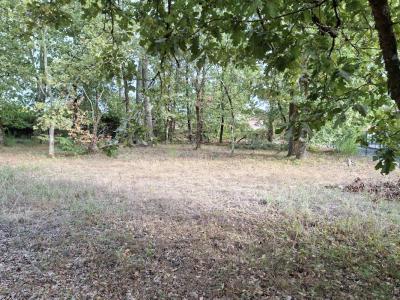 For sale Saint-selve 700 m2 Gironde (33650) photo 1