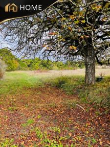 For sale Loupes 940 m2 Gironde (33370) photo 0