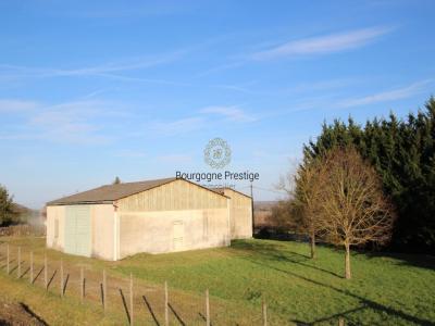 Annonce Vente Commerce Tournus 71