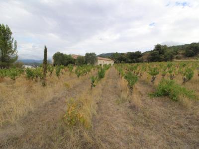 For sale Limoux 8 rooms 224 m2 Aude (11300) photo 1