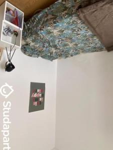 Louer Appartement 16 m2 Nice