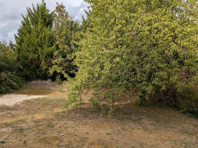 Annonce Vente 4 pi�ces Maison Saint-andre-les-vergers 10