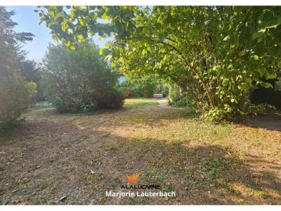 Annonce Vente Terrain Altorf 67